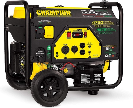 Best Dual Fuel Generators