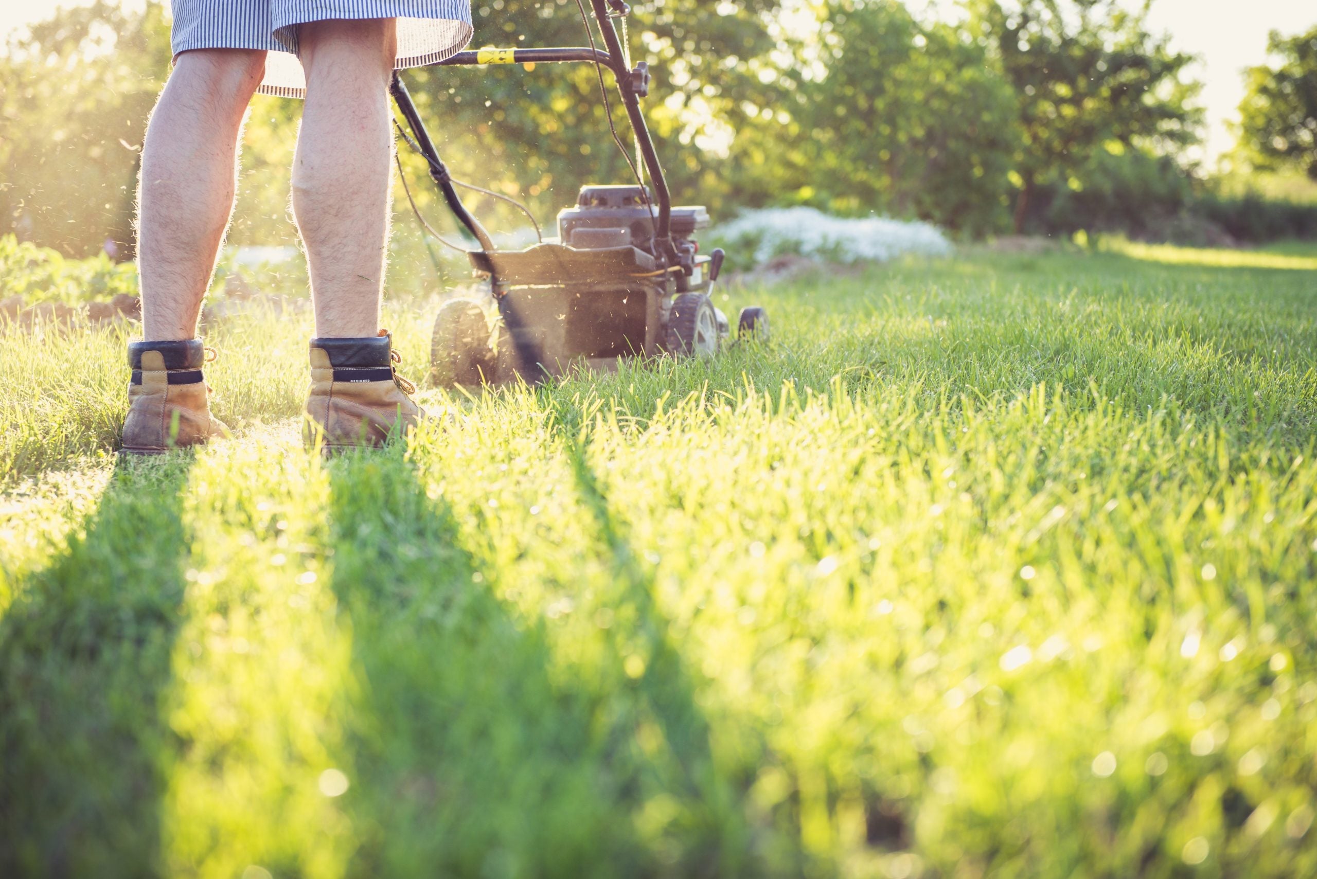 Best Fertilizer Spreader