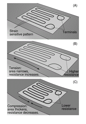 Types of Sensors Detectors/Transducers
