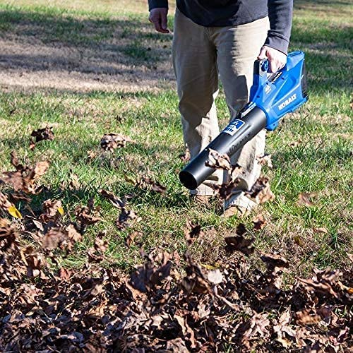 The 6 Best Leaf Blowers of 2022