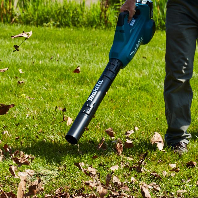 The 6 Best Leaf Blowers of 2022