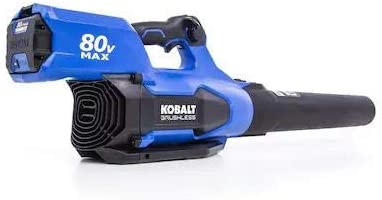 The Best Battery-Powered Leaf Blower in 2022