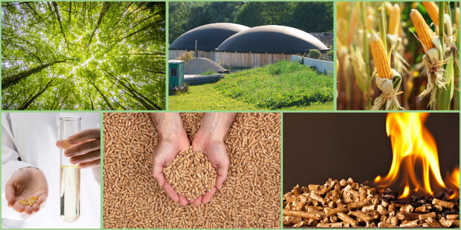 what is biomass How Warm Does Geothermal Heating Get?