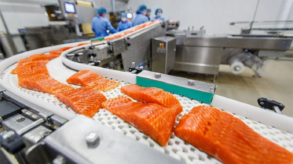 Top 10 Largest Fish Processing Equipment Companies
